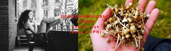 MDMA Белокуриха
