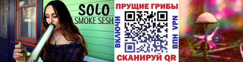 Псилоцибиновые грибы Magic Shrooms  Саяногорск 