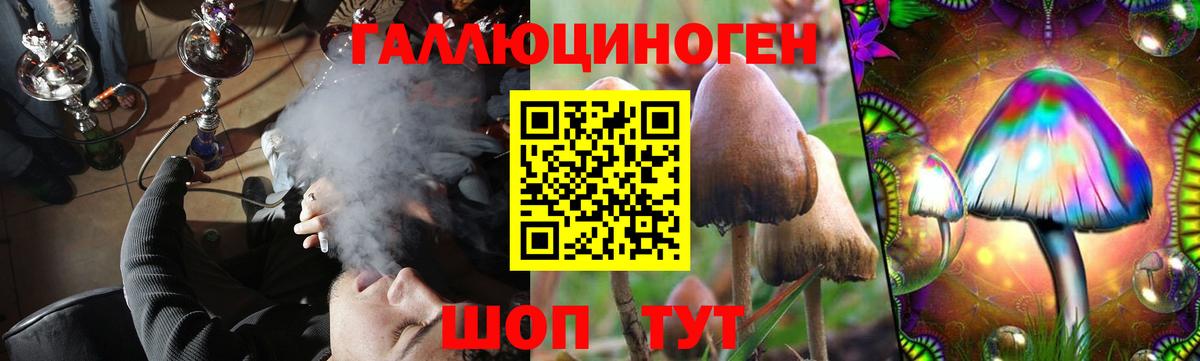 Галлюциногенные грибы ЛСД Саяногорск
