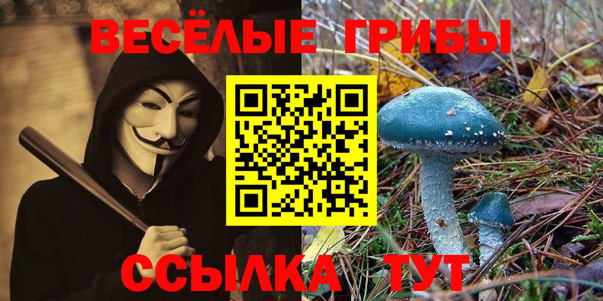 Саяногорск  Псилоцибиновые грибы Cubensis  Вход с VPN  Псилоцибиновые грибы ЛСД 