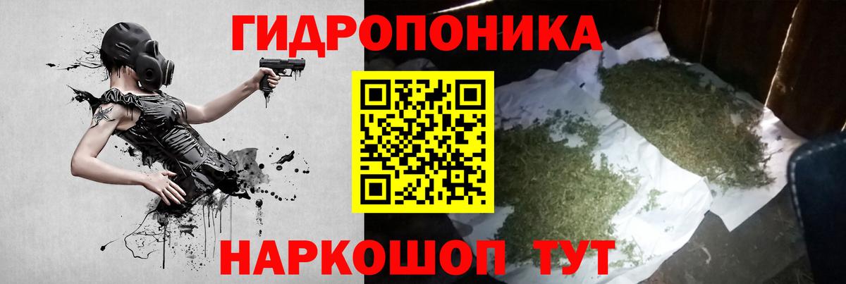 Бошки Шишки семена  Бошки марихуана Ganja  Вход с VPN  Конопля гибрид  Саяногорск  Шишки марихуана OG Kush 